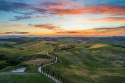 Explore Piedmont's Wine Regions with Pelletiere Estate