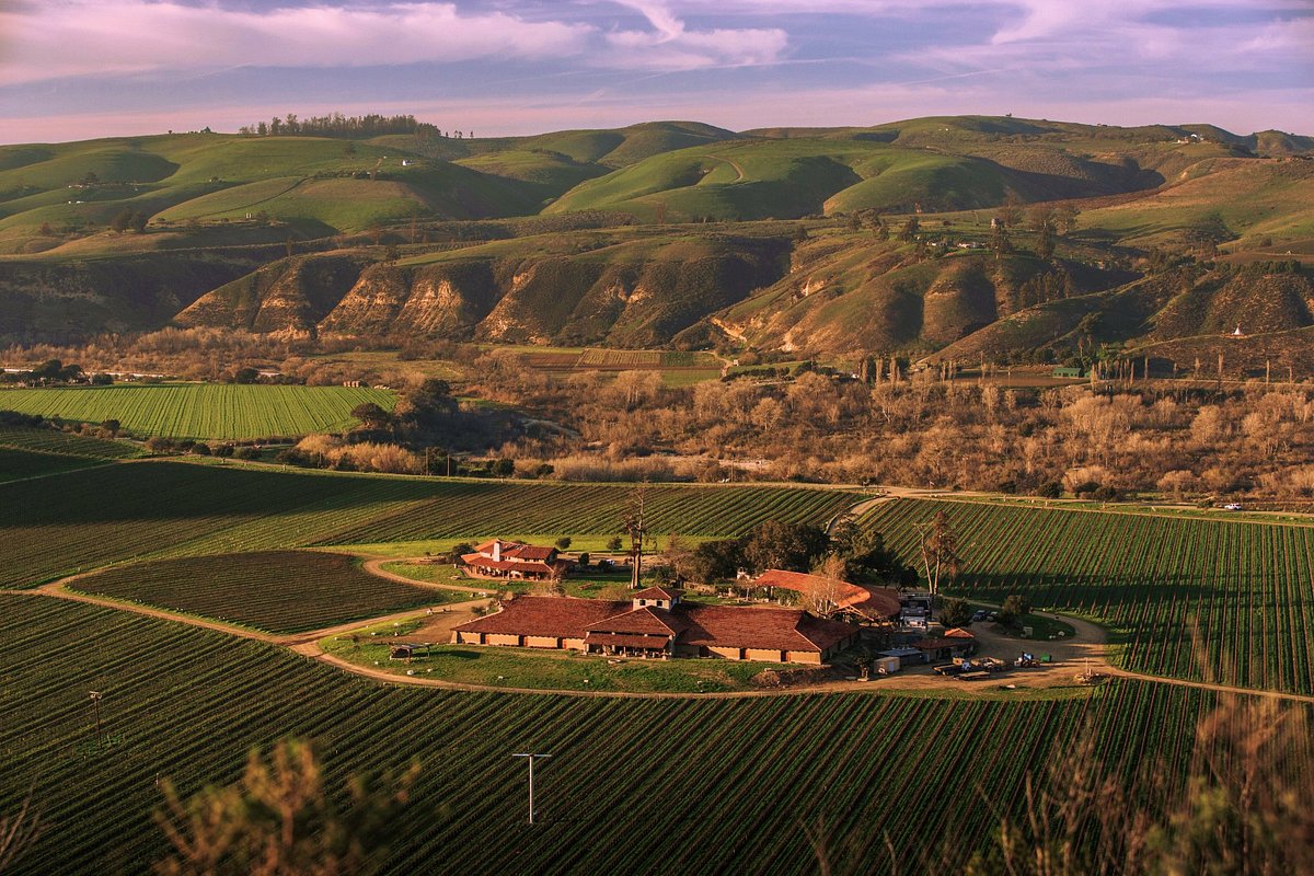 A view of Sanford Winery from above