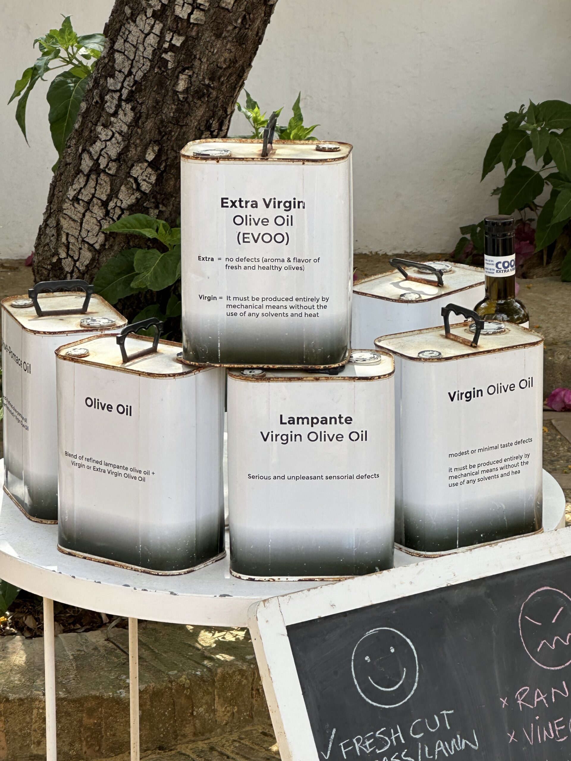 Olive Oil Farm