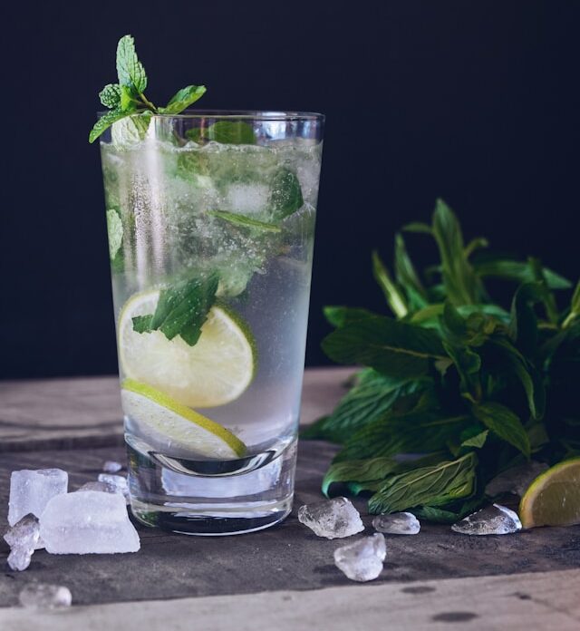 Wine Cocktail - White Wine Mojito
