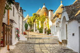 Magical Puglia & Matera cover