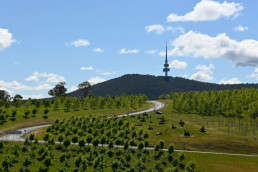 Brian Carter's Journey Down Under day 2
