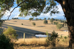 Brian Carter's Journey Down Under day 9