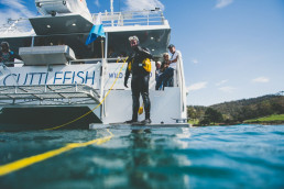 Brian Carter's Journey Down Under last